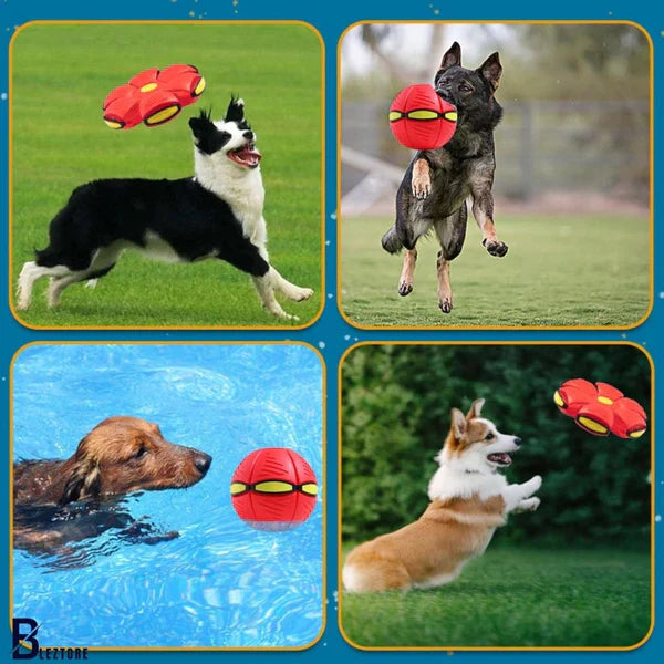 Pelota Magica Para Niño y Perros